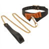Generique Collier et Laisse Butler Noir et Marron